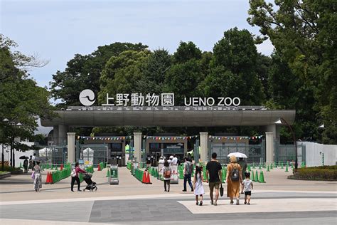 上野動物園駐車場、そして宇宙への扉